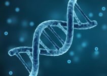 The Connection Between Heredity And Longevity