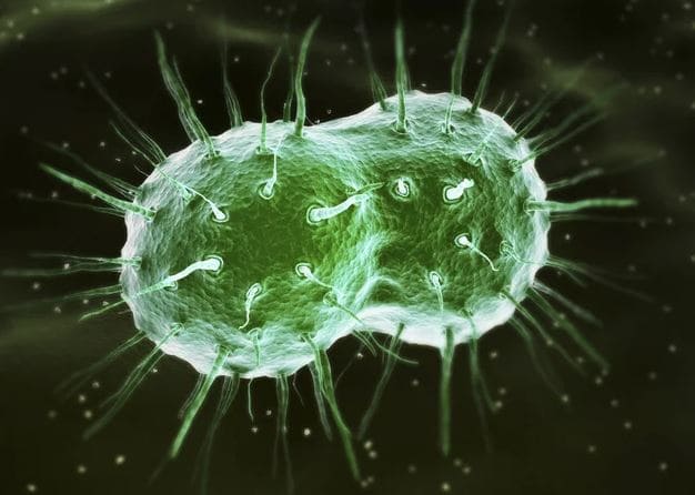 Gonorrhea: Latest Facts, Causes, Symptoms, and Treatment