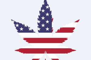 USA Cannabis Laws