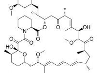 Rapamycin: Biological Sex Influences Anti-Aging Drug’s Efficacy Rapamycin: Biological Sex Influences Anti-Aging Drug’s Efficacy