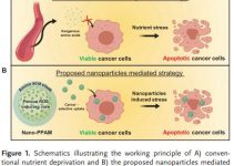 nanoparticles mediated approach to kill cancer cells