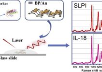 illustration of SERS detection of biomarkers SLPI and IL-18 using BP/Au nanohybrids.