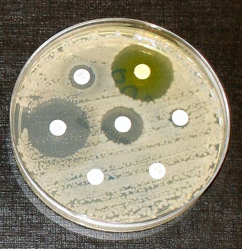 Multi-Drug Resistant Bacteria
