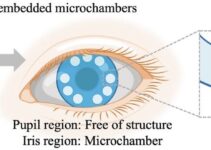 Antibody-Conjugated Signaling microchamber Contact Lens