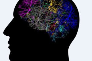 Comparative Analysis of Popular Nootropics: What You Need to Know Comparative Analysis of Popular Nootropics: What You Need to Know