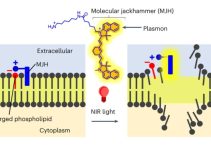 Vibrating Molecules Can Kill 99% of Cancer Cells Without Hurting Healthy Tissue