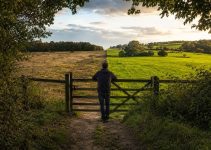 The Grass Is Always Greener on the Other Side: Why We Idealize Alternatives—and Why They Often Disappoint The Grass Is Always Greener on the Other Side: Why We Idealize Alternatives—and Why They Often Disappoint