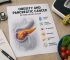 Beyond Blood Sugar: What Else May Link Obesity to Pancreatic Cancer?